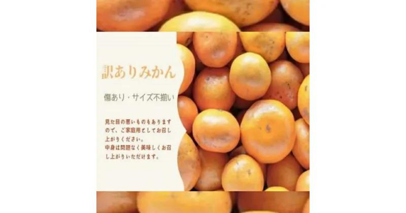 【ご家庭用】峰農園のゆたたりみかん　10kg （訳あり・サイズミックス）