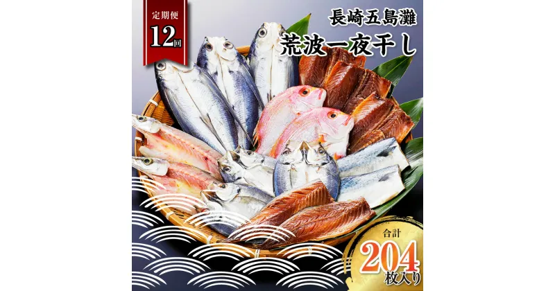 【ふるさと納税】【全12回定期便】長崎五島灘荒波一夜干し 合計17枚 干物 海産物 海鮮 魚介 ひもの 海の幸 酒の肴 おつまみ おかず