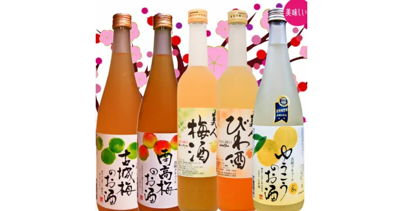 【ふるさと納税】長崎特産梅酒・フルーツ酒のみくらべ 5本セット ( 南高梅酒・古城梅酒・ゆうこうのお酒・美人びわ酒・美人梅酒 ) 果実酒 酒 ゆうこう お酒 びわ酒 梅酒 南高梅 飲み比べ セット