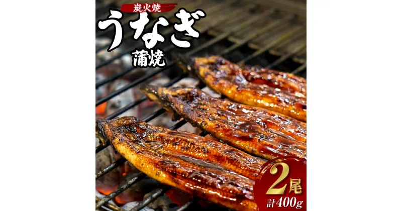 【ふるさと納税】炭火焼うなぎの蒲焼 200g×2尾 計400g うなぎ 鰻 蒲焼 魚介 タレ付 惣菜 簡単 国産 真空パック 冷蔵 長崎市