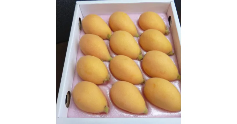 【ふるさと納税】赤秀品 ハウス びわ 500g（化粧箱入り）Lサイズ 12粒入り 長崎県産 ギフト 果実 フルーツ 贈り物 期間限定 常温 長崎県 長崎市 送料無料 【2025年4月発送】