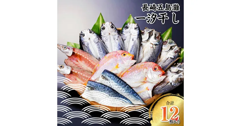 【ふるさと納税】長崎五島灘一汐干し 合計12枚 海産物 海鮮 魚介 ひもの 乾物 セット おかず おつまみ 冷凍 五島 送料無料