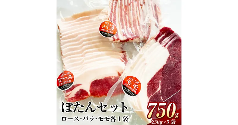 【ふるさと納税】ぼたんセット 計750g 250g×3袋 ロース バラ モモ スライス お肉 肉 ぼたん肉 ボタン肉 ぼたん 猪 猪肉 ヘルシー 健康 美容 国産 健康食 冷凍 長崎県産 送料無料