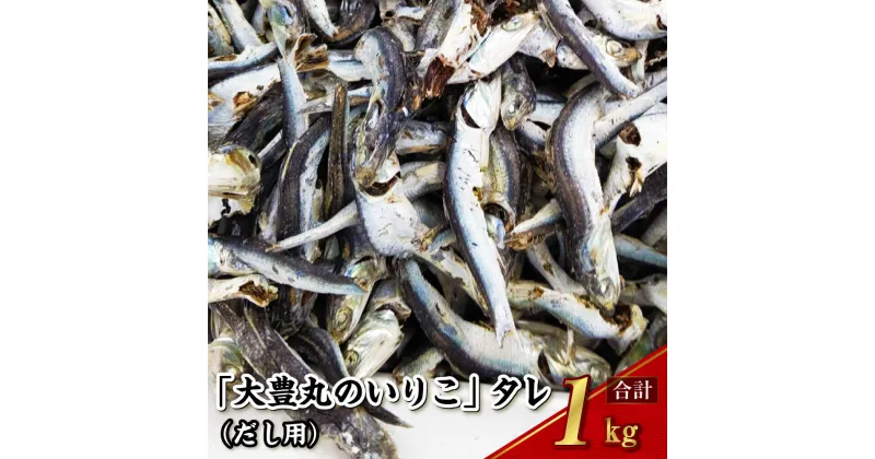 【ふるさと納税】「大豊丸のいりこ」タレ（だし用） 1kg 煮干し 出汁 魚介類 水産物 国産 長崎県 長崎市 送料無料