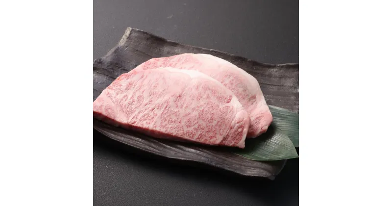 【ふるさと納税】長崎和牛 サーロイン ステーキ 計400g（約200g×2枚） 和牛 牛肉 お肉 サーロイン 赤身 霜降り 冷凍 長崎県産 国産 九州 長崎県 長崎市 送料無料