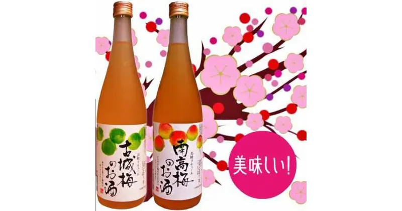 【ふるさと納税】長崎 梅酒のみくらべ 南高梅酒 古城梅酒 720ml×各1本 お酒 酒 梅酒 古城梅 南高梅 フルーティー まろやか 飲み比べ セット 国産 常温 九州 長崎県 長崎市 送料無料