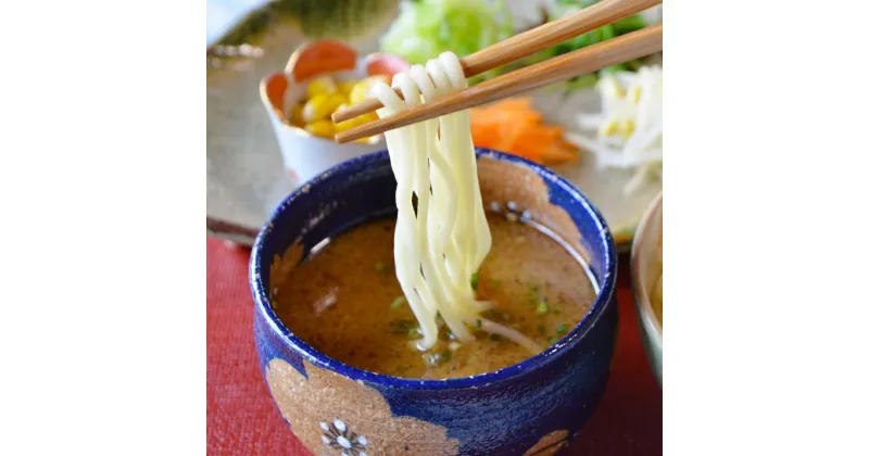 【ふるさと納税】【全麺連九州地区お土産品評会特別賞】長崎つけちゃんぽん×5人前 スープ（187g×5） めん（180g×5） チャンポン つけ麺 麺類 冷凍 長崎県 長崎市 送料無料