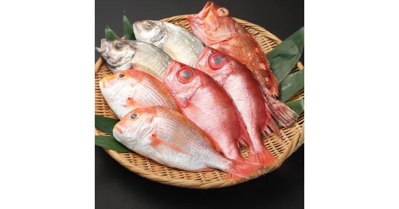 【ふるさと納税】鮮魚詰め合わせ 約2.5kg レンコ キントキ 季節の魚 海鮮 水産物 魚介類 さかな サカナ 冷蔵 長崎県 長崎市 送料無料 【2024年11月下旬-2025年3月下旬発送予定】