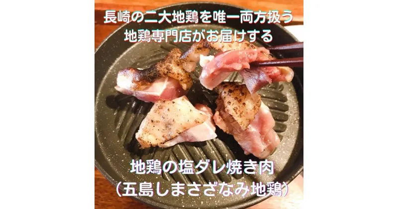 【ふるさと納税】長崎県産 五島地鶏 五島しまさざなみ地鶏 焼肉セット 500g 自家製タレ付き 地鶏 焼肉用 鶏もも肉 鶏むね肉 モモ ムネ 長崎 九州 国産 冷凍 長崎県 長崎市 送料無料