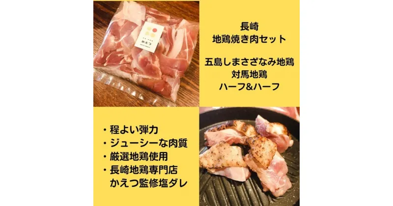 【ふるさと納税】【長崎二大地鶏焼肉】食べ比べセット 250g×2種 計500g 自家製タレ付き 五島しまさざなみ地鶏 地鶏 鶏肉 お肉 肉 鶏もも肉 鶏むね肉 モモ ムネ 焼肉タレ 焼肉用 たれ タレ セット 長崎 九州 国産 冷凍 長崎県 長崎市 送料無料